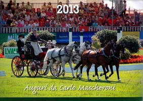 I nostri Amici.. a Cavallo!