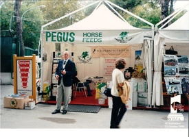 stand pegus WEG ROMA 1998