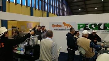 futurity 2014 stand pegus