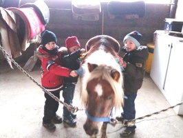 piccoli maurizzi con pony - scuderia veduro