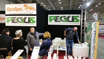 fiera di roma 2015 stand Pegus