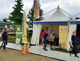 stand pegus ai campionati assoluti di S O  2016 arezzo equestrian center