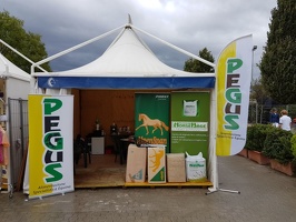 stand pegus campionati giovanili 2016 arezzo equestrina center