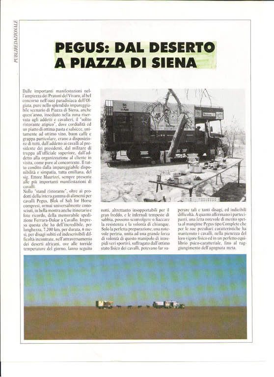 Digitalizzato_20150105 (6).png