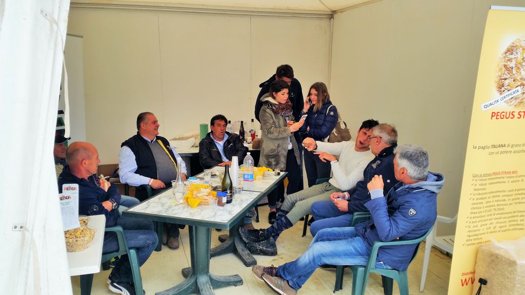 gruppo di amici allo stand pegus campionati italiani S_O_ arezzo equestrian center.jpg