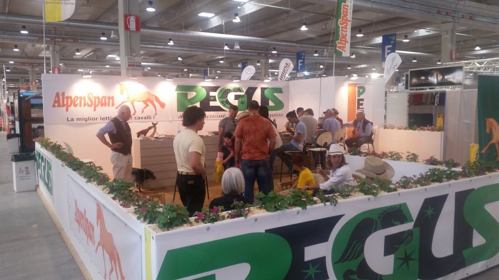 stand Pegus salone del cavallo americano 2016 Cremona_1.jpg