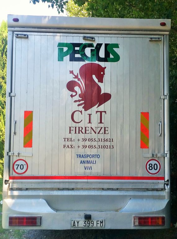 retro camion CIT.jpg